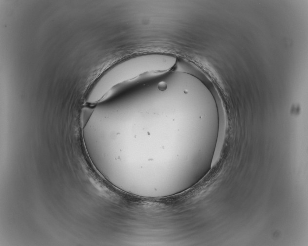 X0000089930393200707271802