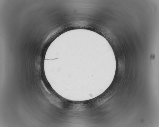 X0000089930396200707271802