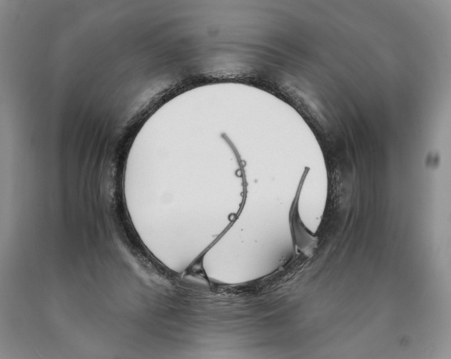 X0000089930400200707271802