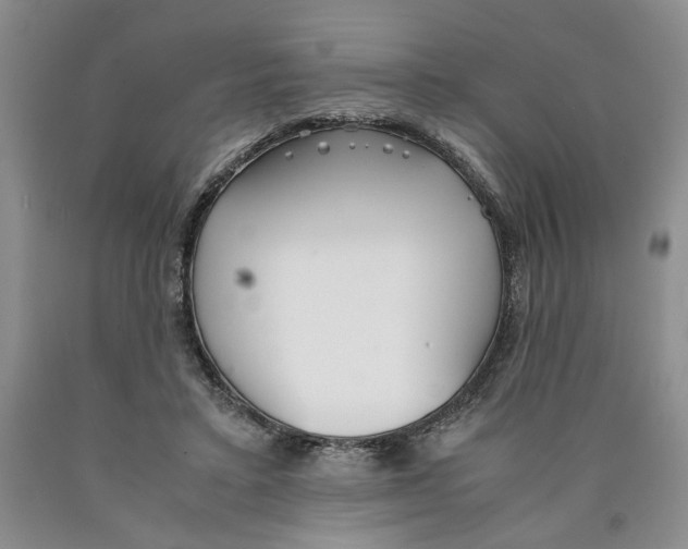 X0000089930403200707271802