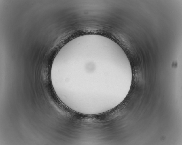 X0000089930408200707271802