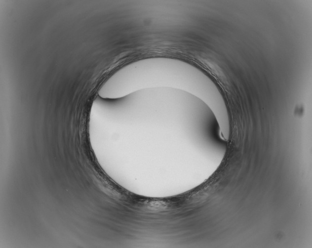 X0000089930409200707271802