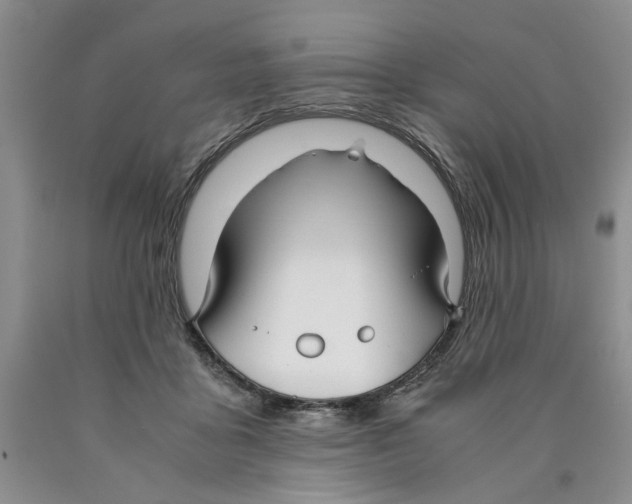 X0000089930411200707271802