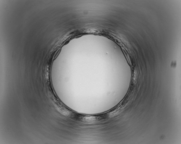 X0000089930413200707271802