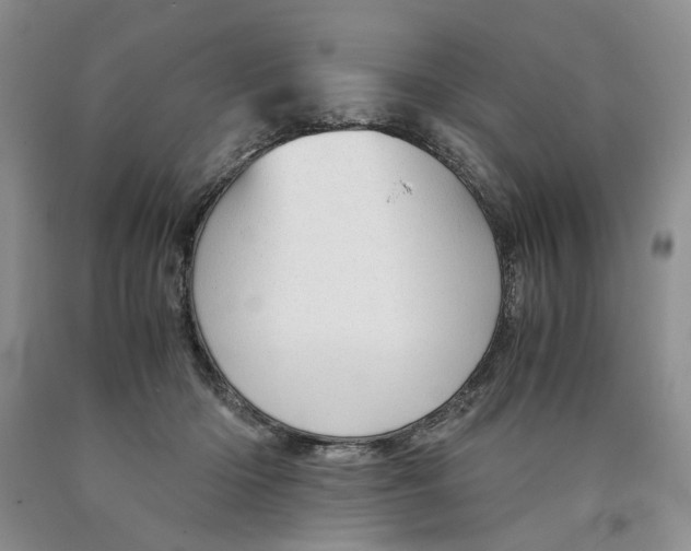 X0000089930414200707271802