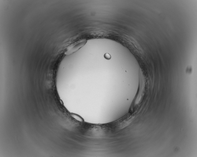 X0000089930416200707271802