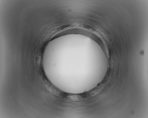 X0000089930417200707271802