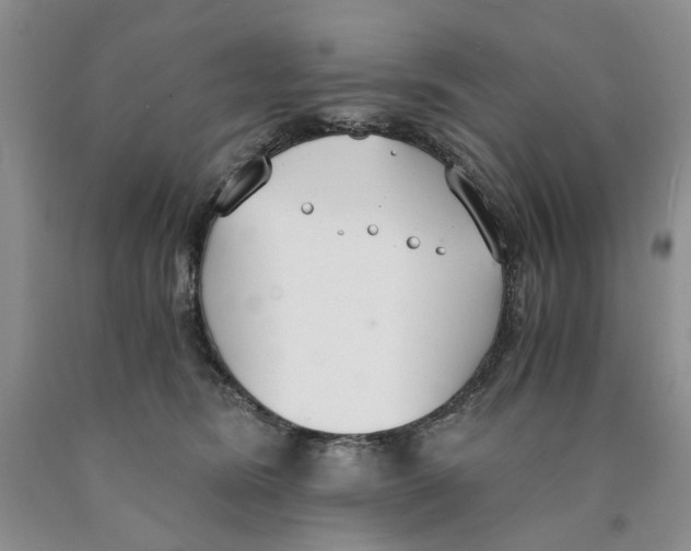 X0000089930420200707271802