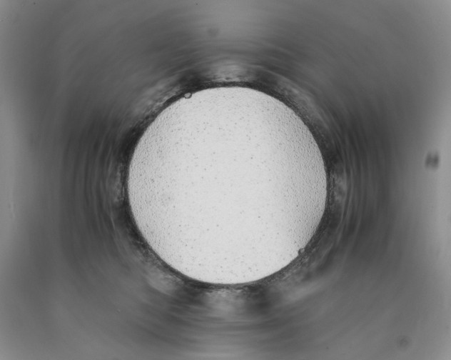 X0000089930422200707271802