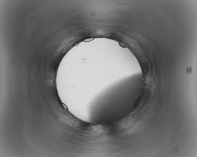 X0000089930423200707271802