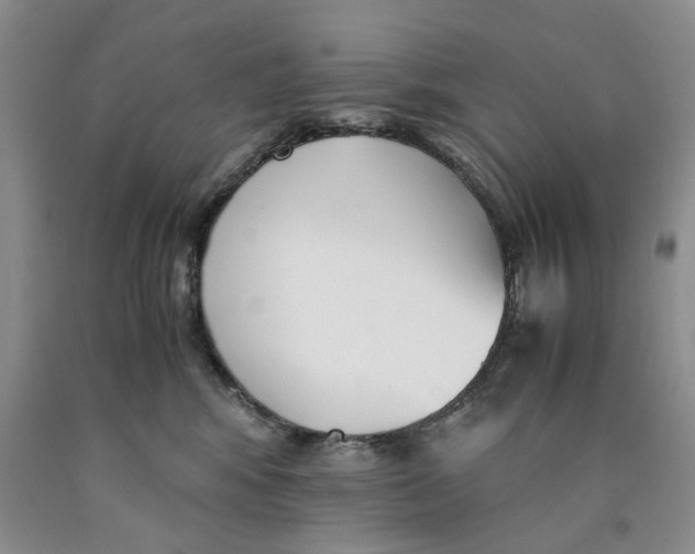 X0000089930424200707271802