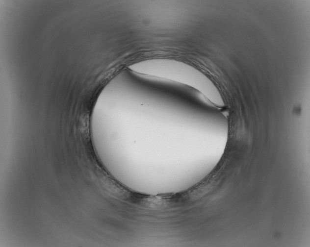 X0000089930425200707271802