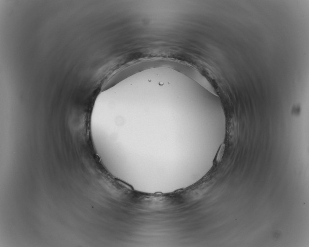 X0000089930428200707271801