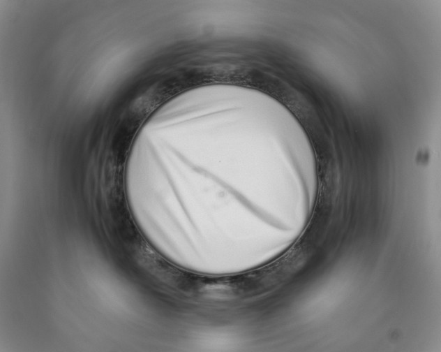 X0000089930430200707271801