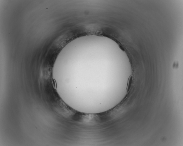 X0000089930432200707271801