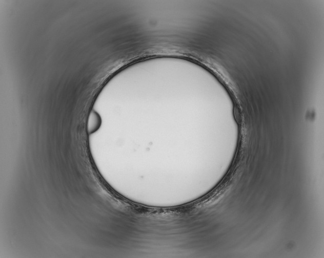 X0000089930433200707271801