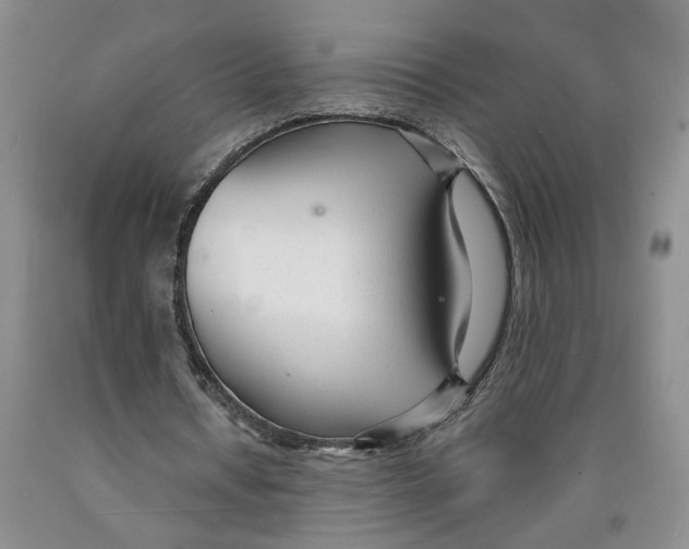 X0000089930434200707271801