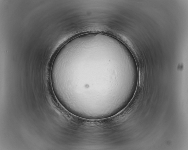 X0000089930435200707271801