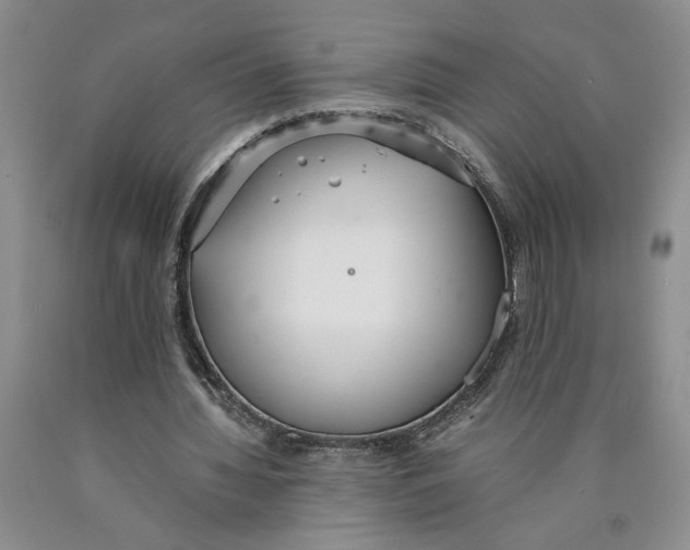 X0000089930436200707271801