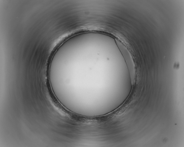 X0000089930438200707271801