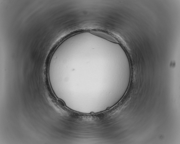 X0000089930439200707271801