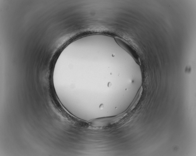 X0000089930440200707271801