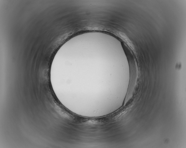 X0000089930441200707271801