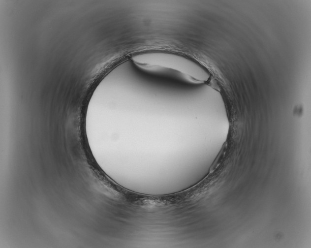 X0000089930442200707271801