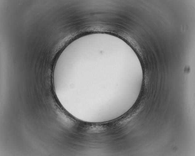 X0000089930445200707271801