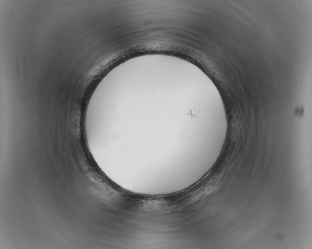 X0000089930446200707271801