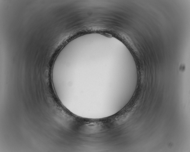 X0000089930447200707271801