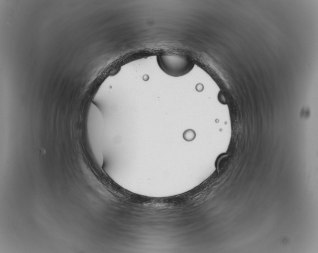 X0000089930448200707271801