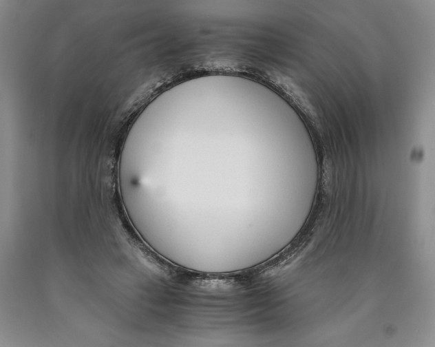 X0000089930449200707271801