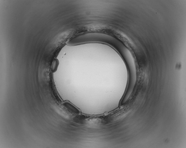 X0000089930452200707271801