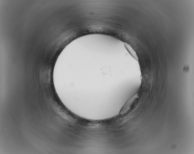 X0000089930454200707271801