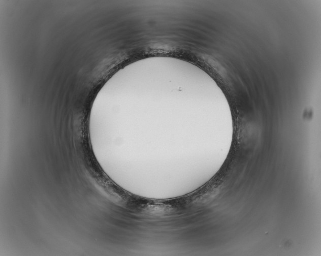 X0000089930455200707271801