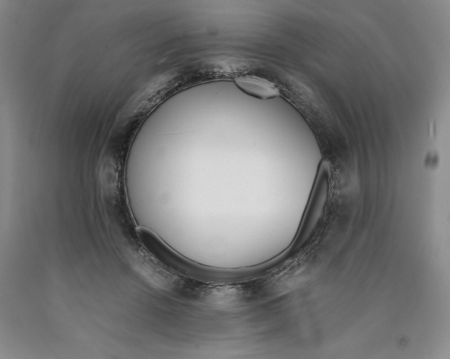 X0000089930456200707271801