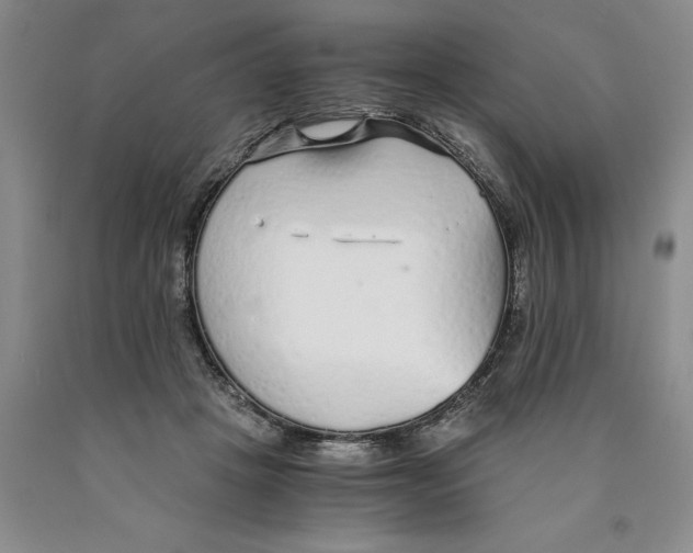 X0000089930457200707271801