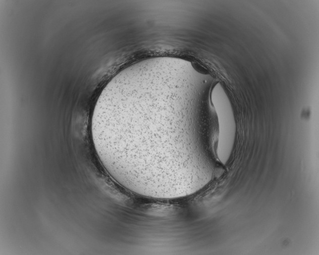 X0000089930458200707271801