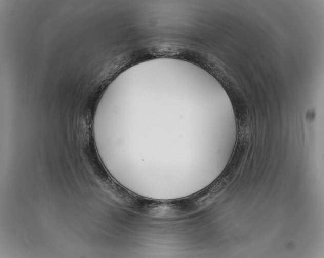 X0000089930460200707271801