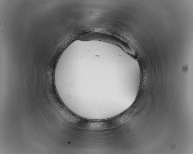 X0000089930461200707271801