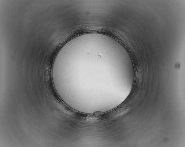 X0000089930462200707271801