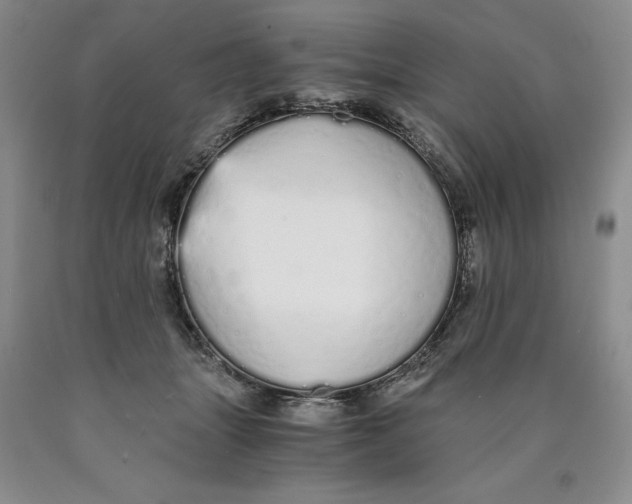 X0000089930463200707271801