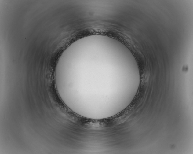 X0000089930464200707271801