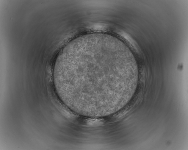 X0000089930465200707271801