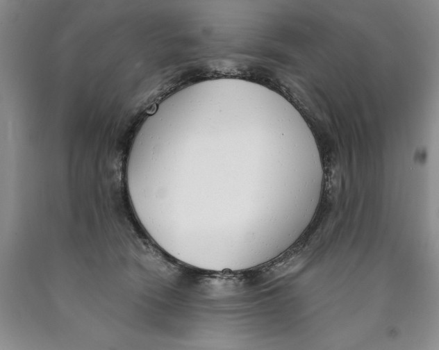 X0000089930466200707271801