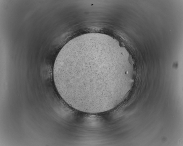 X0000089930467200707271801