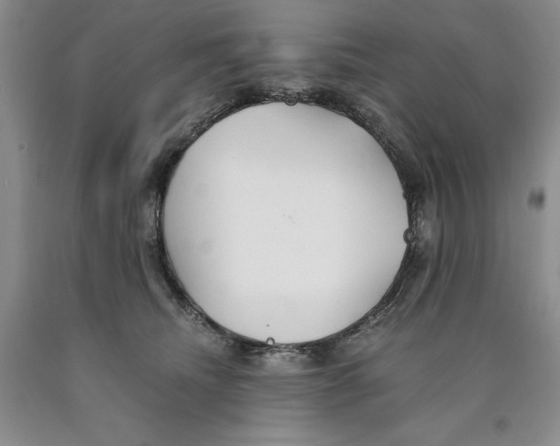 X0000089930468200707271801