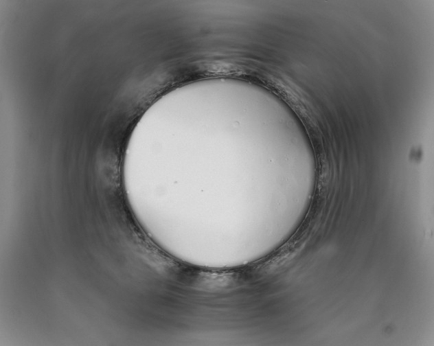 X0000089930469200707271801