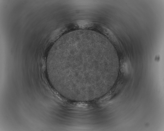 X0000089930471200707271801